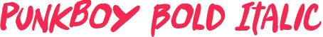 Punkboy Bold Italic